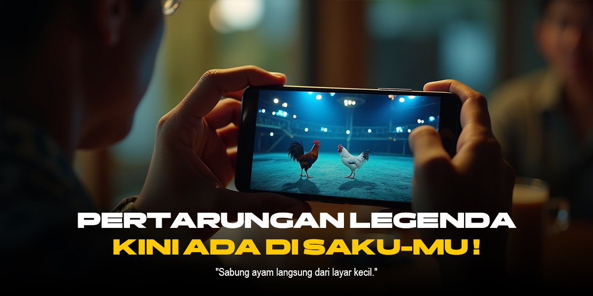 Kenali Jenis Ayam Aduan SV388 yang Paling Populer