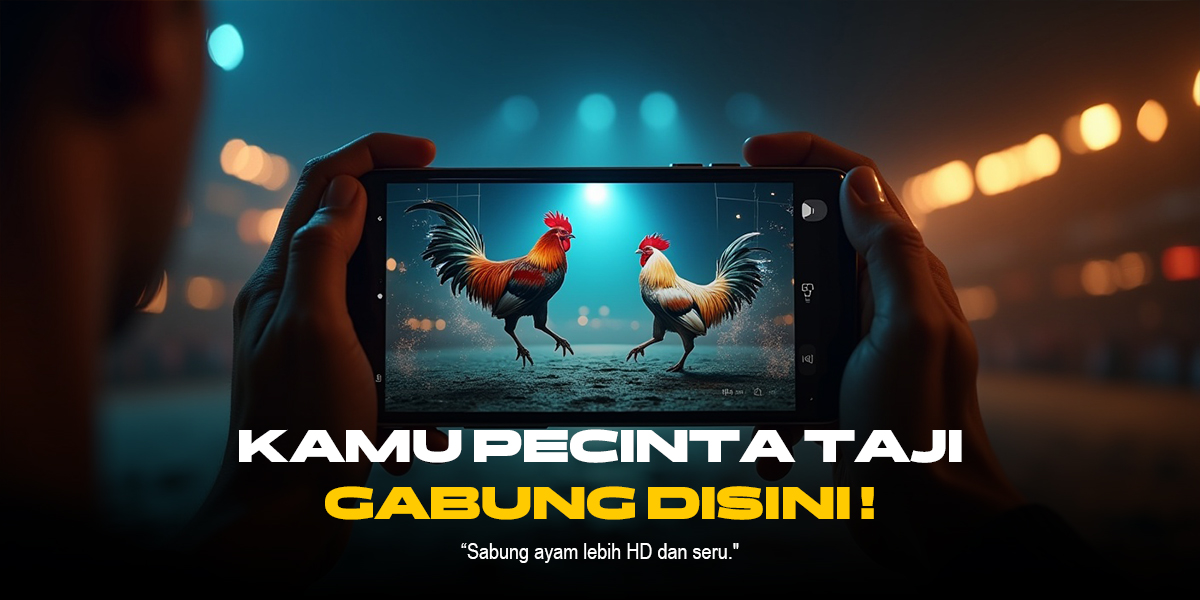 Mengenal Sabung Ayam SV388: Adu Ayam Taruhan Online Terbaik