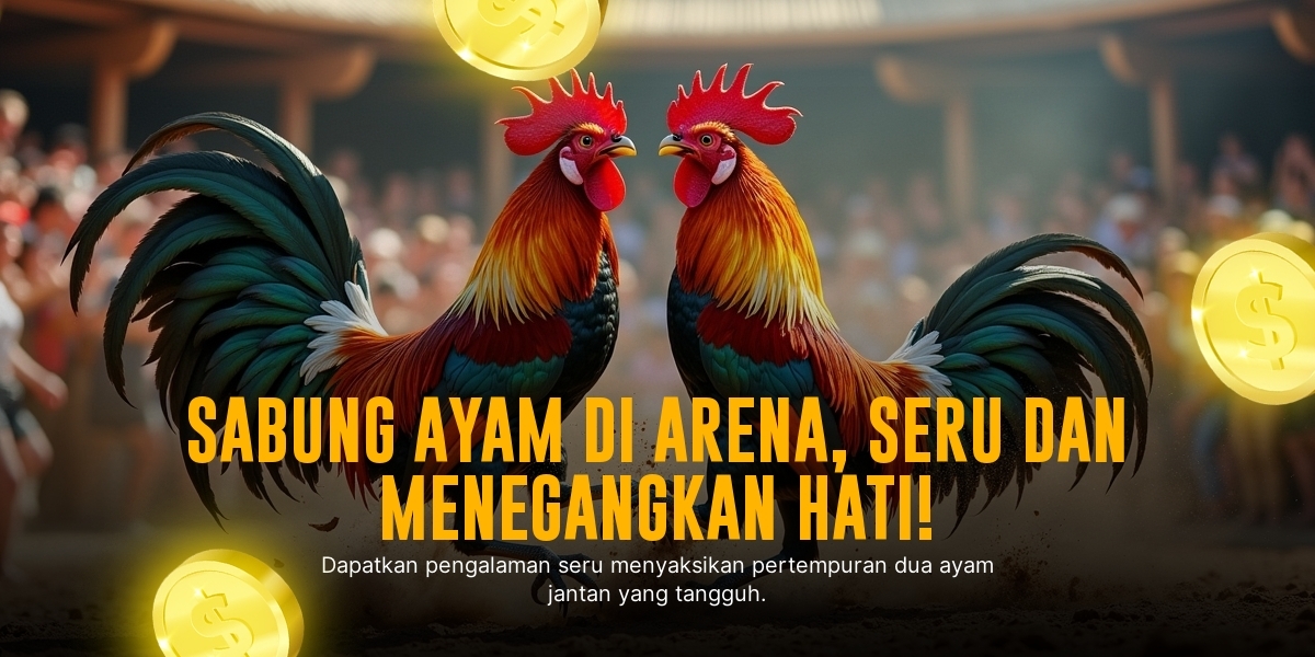 Mengenal Ayam Bangkok: Raja Sabung Ayam Online di SV388