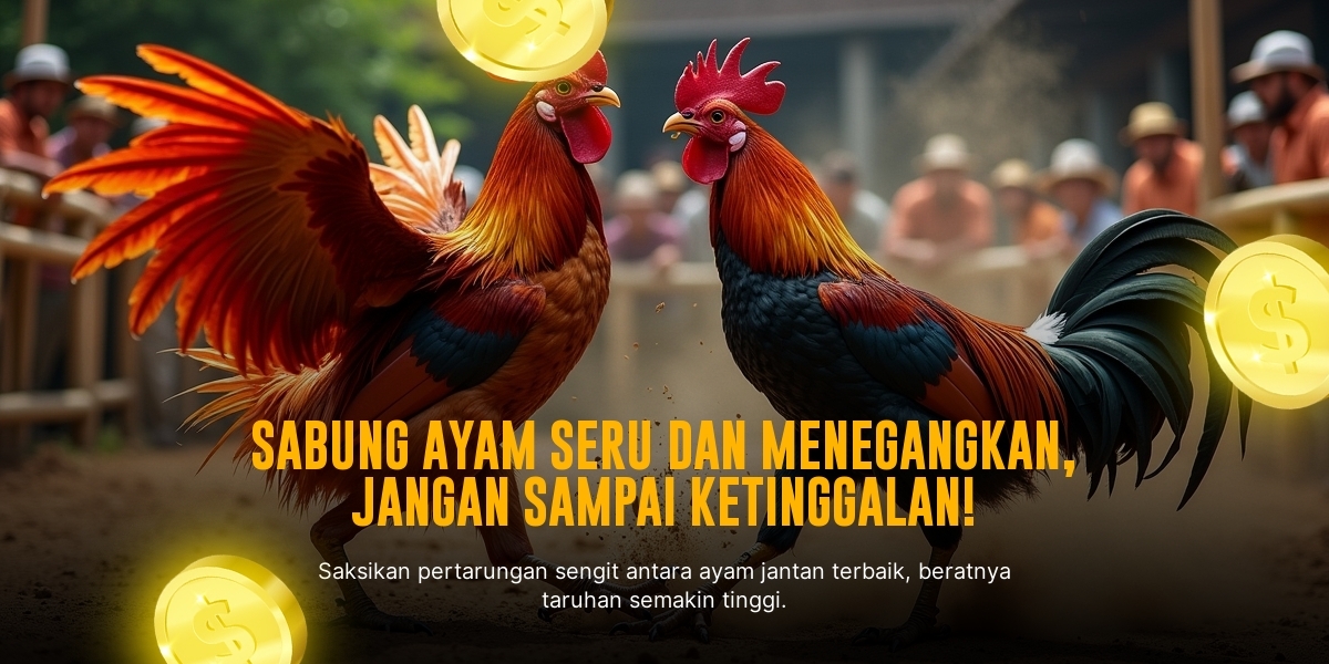 Mengulik Sabung Ayam Bangkok: Jenis, Odds, dan Provider Terpercaya